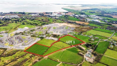 /international/ie/premium-devlopement-lands-at-pembrokestown-wexford-town-wexford-210109676435/