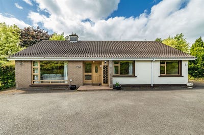 /international/ie/newpark-lodge-kildare-town-kildare-210109678523/