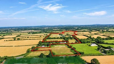 /international/ie/55-acres-thomastown-kilcullen-kilkenny-210119619449/