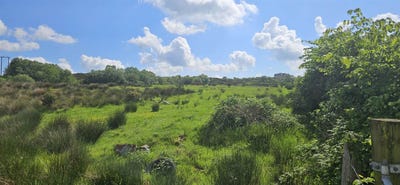 /international/ie/knockbrack-letterkenny-donegal-210109670664/