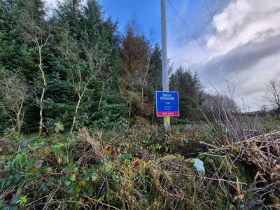 /international/ie/27-13-acres-of-forestry-stripe-north-tuam-galway-210109684600/