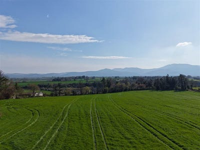 /international/ie/lands-at-ardfinnan-tipperary-210109678689/