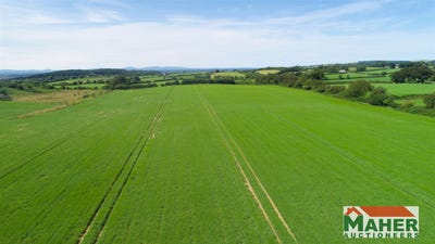 /international/ie/rathroe-killenaule-thurles-tipperary-210109677645/