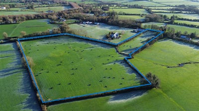 /international/ie/reddanswalk-tipperary-town-tipperary-210109674217/