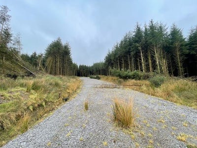 /international/ie/cordal-castleisland-kerry-210109719958/