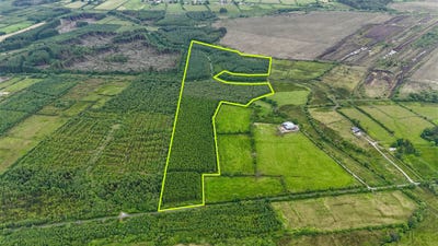 /international/ie/31-acres-of-mature-forestry-at-ballyglass-east-loughglynn-roscommon-210109670329/