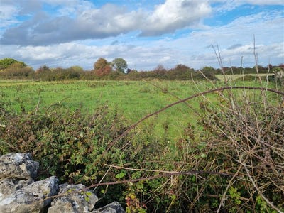 /international/ie/morenane-askeaton-limerick-210109670057/