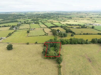 /international/ie/knockainey-hill-hospital-limerick-210119718661/