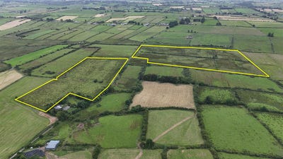 /international/ie/lot-2-c-42-14-acres-of-prime-roadside-agricultural-land-castlerea-roscommon-210109670122/