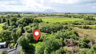 /international/ie/ferrew-garranard-ballina-longford-210109677610/