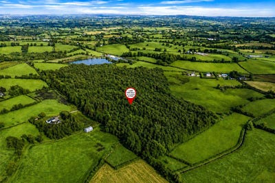 /international/ie/lands-rossarrell-glaslough-monaghan-210109670521/