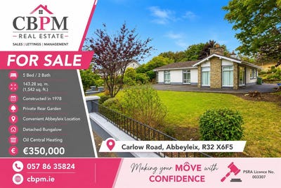 /international/ie/ballymaddock-portlaoise-laois-210119718676/