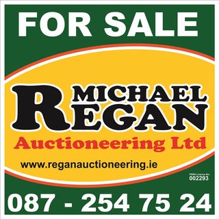 /international/ie/ballyfa-new-inn-ballinasloe-sligo-210109670748/