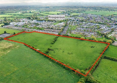 /international/ie/curryhills-prosperous-kildare-210109682123/