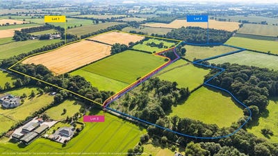 /international/ie/whole-lands-cottage-lisnavagh-rathvilly-carlow-210109675115/