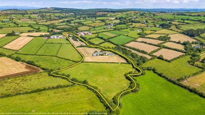 /international/ie/rathkyle-byrnesgrove-ballyragget-kilkenny-210119776486/