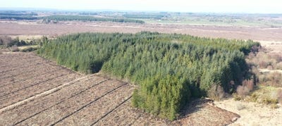 /international/ie/clooncoose-north-castlerea-roscommon-210109670944/