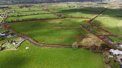 /international/ie/towerhill-cappamore-limerick-210109671355/