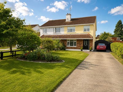/international/ie/32-borris-little-portlaoise-laois-210119658209/