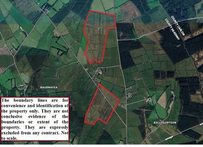 /international/ie/commercial-forestry-plantation-baurnafea-paulstown-kilkenny-210109675140/