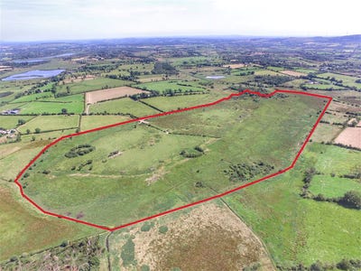 /international/ie/cloonelly-strokestown-roscommon-210109677058/