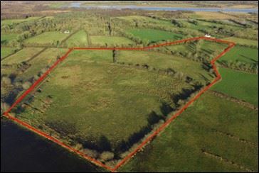 /international/ie/salmons-lane-ballyleague-roscommon-210109675932/