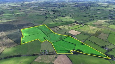/international/ie/slevin-tulsk-castlerea-roscommon-210109670653/