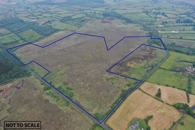 /international/ie/57-67-acres-cloonelt-kilmore-castlerea-roscommon-210109670890/