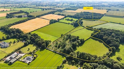 /international/ie/north-land-lisnavagh-rathvilly-carlow-210109670414/