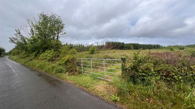 /international/ie/site-at-clonshee-ahascragh-ballinasloe-galway-210109669946/
