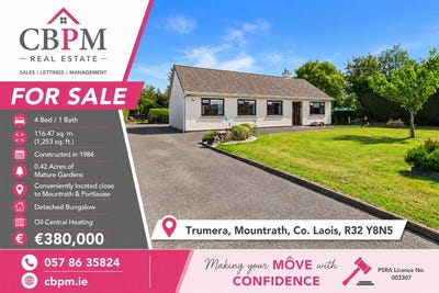/international/ie/trumera-portlaoise-laois-210119776480/