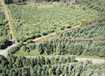 /international/ie/forestry-land-at-smithstown-mullinavat-kilkenny-210109670903/