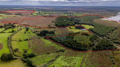 /international/ie/circa-160-acre-landholding-at-clontarsna-castlerea-roscommon-210119898037/