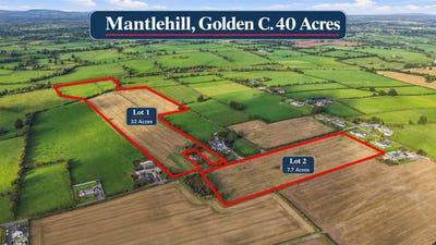 /international/ie/lands-c40-acres-mantlehill-golden-tipperary-210120035686/