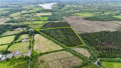 /international/ie/c-8-58-acres-of-mature-forestry-at-ballyglass-east-loughglynn-roscommon-210109670014/