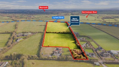 /international/ie/laragh-demesne-maynooth-kildare-210109676709/
