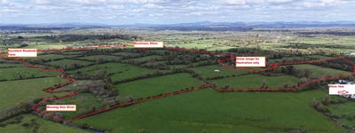 /international/ie/elton-limerick-limerick-210109675429/