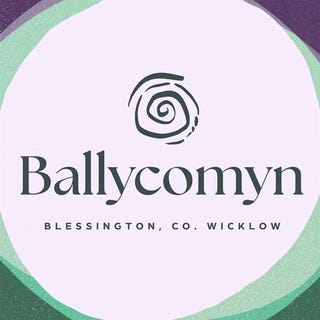 /international/ie/ballycomyn-blessington-wicklow-210109671197/