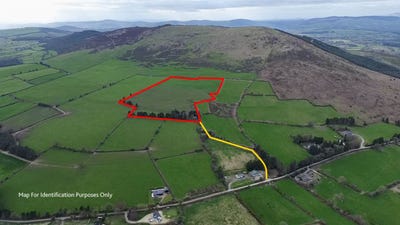/international/ie/annagh-c-15-5-acre-holding-with-derelict-gorey-wexford-210109683048/