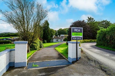 /international/ie/1-ballintruer-more-baltinglass-wicklow-210109683451/