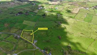 /international/ie/4-8-acres-approx-at-boherroe-elphin-roscommon-210109671128/