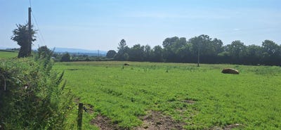 /international/ie/-50-acre-site-kilcarrig-bagenalstown-carlow-210109677198/