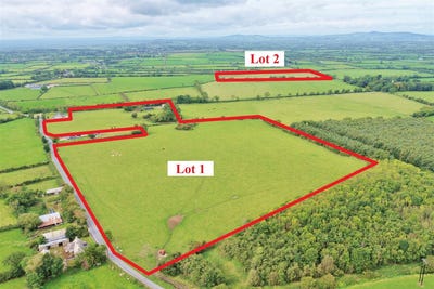 /international/ie/maidstown-dromin-kilmallock-cork-210110141349/