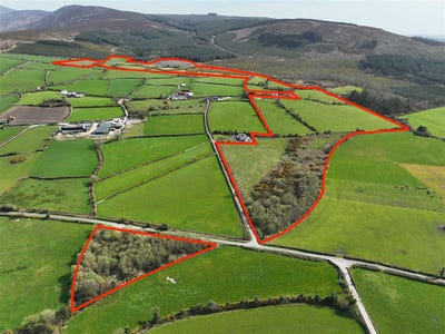 /international/ie/dranagh-st-mullins-carlow-210109672772/