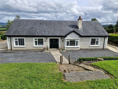 /international/ie/coolroe-coolboy-tinahely-wicklow-210109682611/