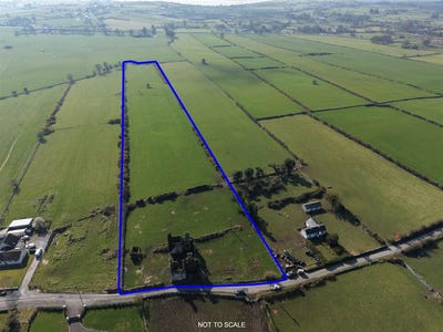 /international/ie/c-7-acres-killiaghan-gort-lecarrow-roscommon-210109676549/