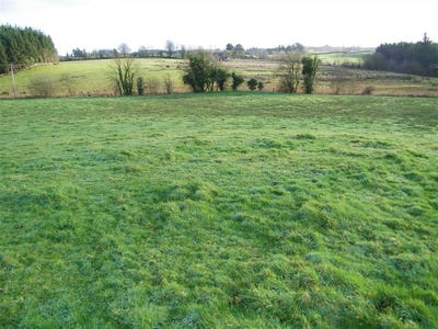 /international/ie/tully-castlerea-roscommon-210109669998/