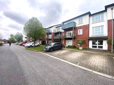 /international/ie/beech-park-wood-leixlip-kildare-210109681785/