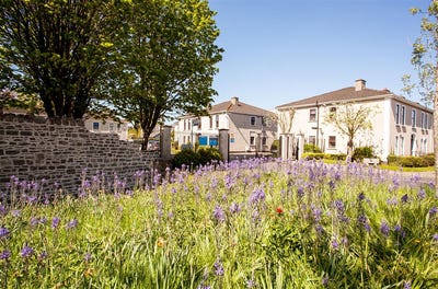 /international/ie/8-manor-court-maynooth-co-kildare-maynooth-kildare-210110163686/