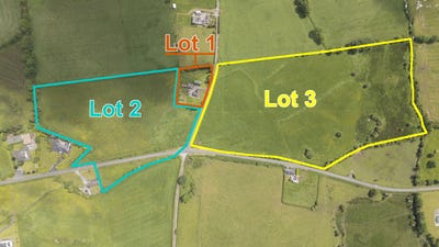 /international/ie/bryanstown-ballinea-mullingar-westmeath-210110402400/